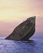 Sinking ship